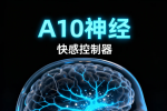 为什么科学家认为β波与人的注意、紧张相关